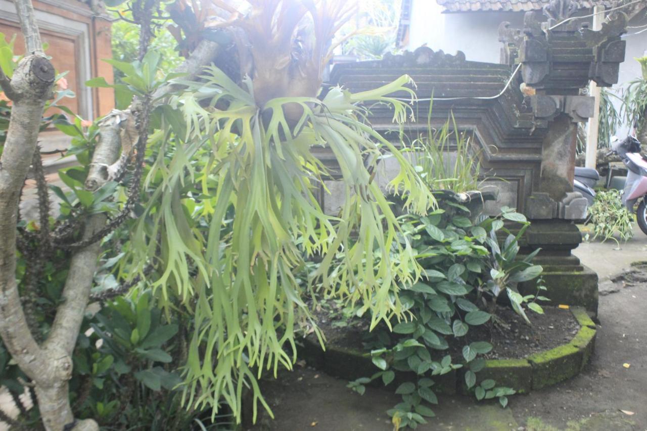 Umah De Arlika Ubud Exterior foto